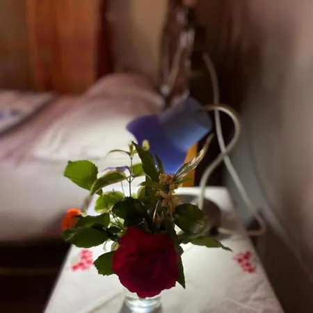 Gather ゲストハウス