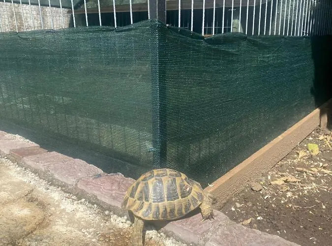 Gather Guest house Shkoder