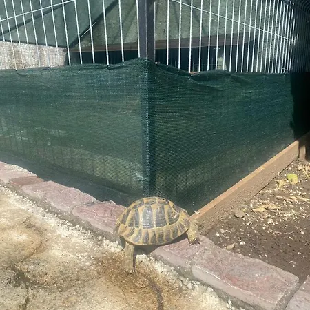 Gather Affittacamere Shkodër